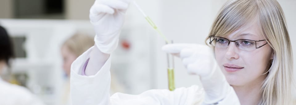 Estudios toxicológicos